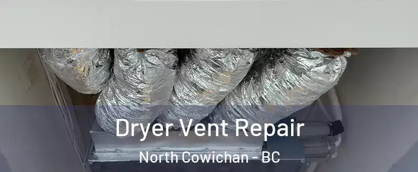  Dryer Vent Repair North Cowichan - BC