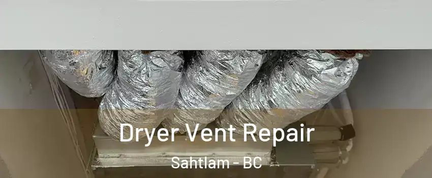  Dryer Vent Repair Sahtlam - BC