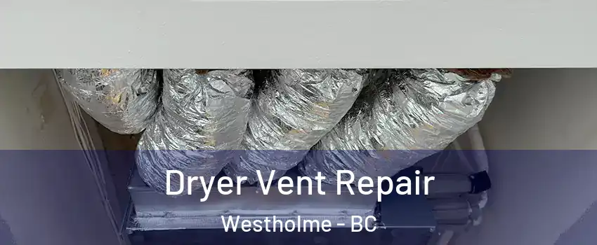  Dryer Vent Repair Westholme - BC