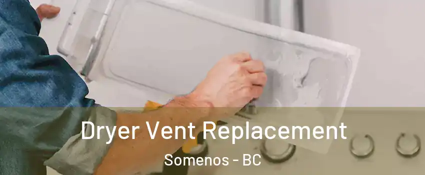  Dryer Vent Replacement Somenos - BC