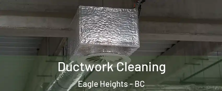  Ductwork Cleaning Eagle Heights - BC