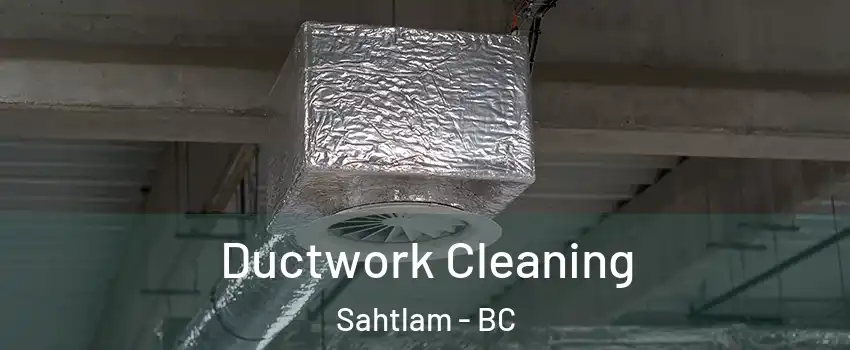  Ductwork Cleaning Sahtlam - BC