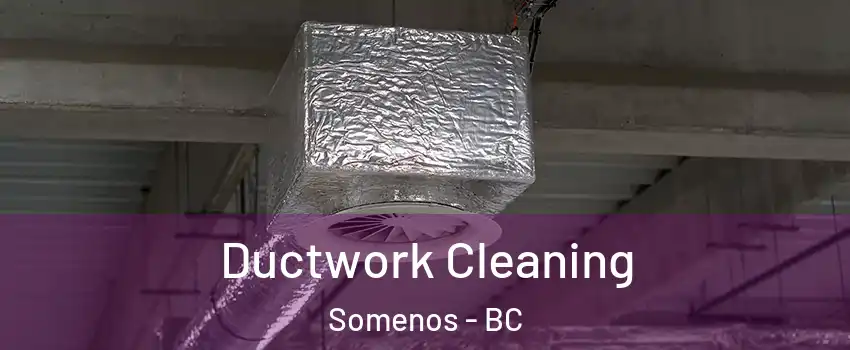  Ductwork Cleaning Somenos - BC