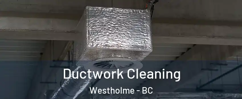  Ductwork Cleaning Westholme - BC