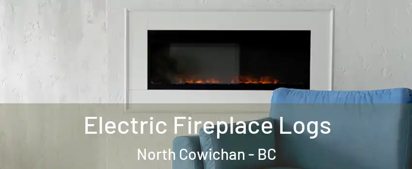 Electric Fireplace Logs North Cowichan - BC