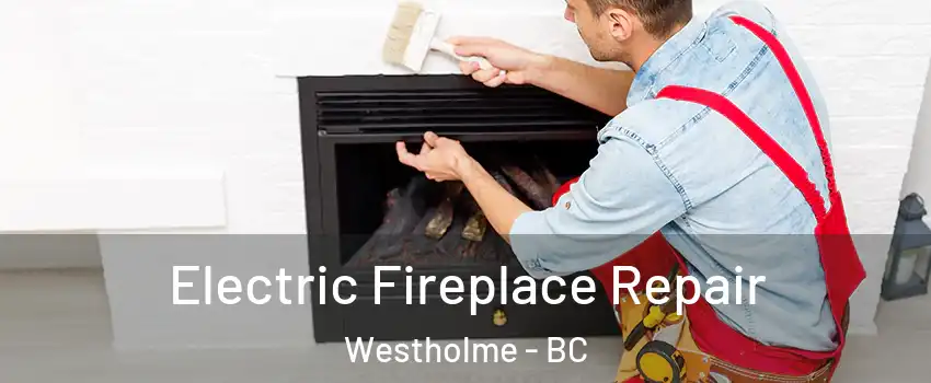  Electric Fireplace Repair Westholme - BC