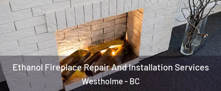  Ethanol Fireplace Repair And Installation Services Westholme - BC
