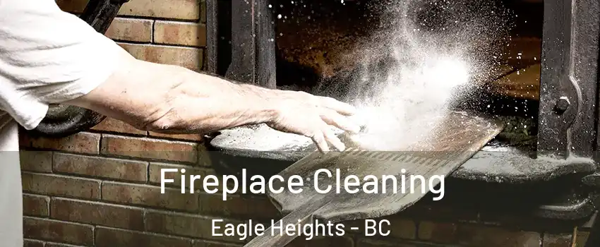  Fireplace Cleaning Eagle Heights - BC