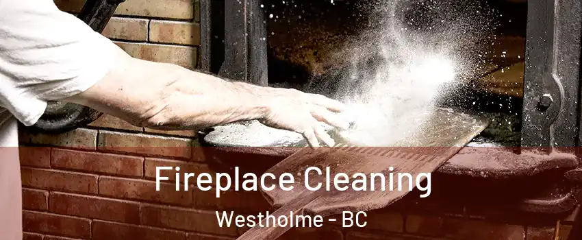  Fireplace Cleaning Westholme - BC
