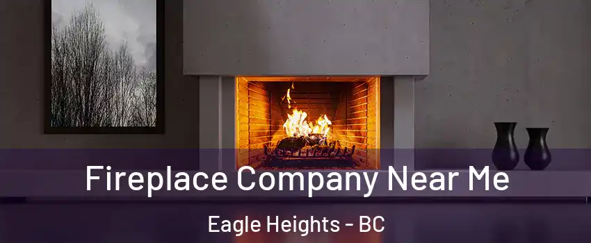 Fireplace Company Near Me Eagle Heights - BC