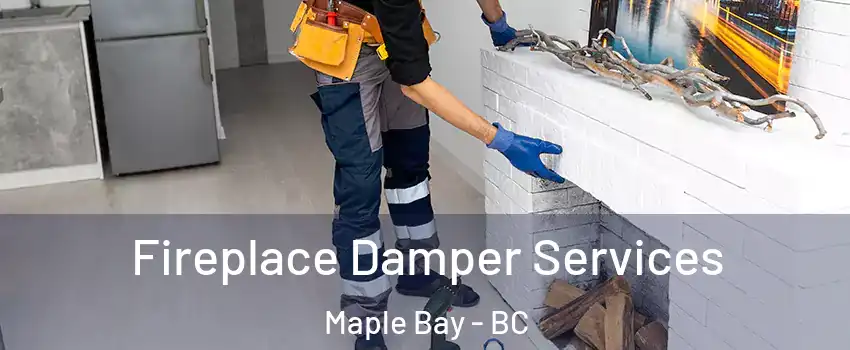 Fireplace Damper Services Maple Bay - BC