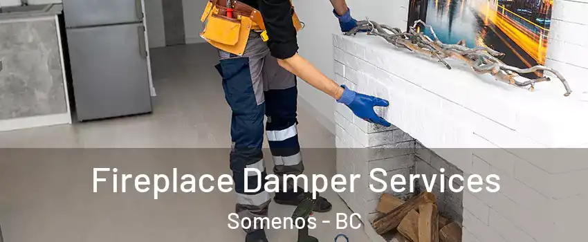 Fireplace Damper Services Somenos - BC