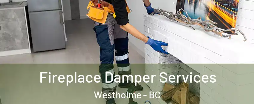 Fireplace Damper Services Westholme - BC