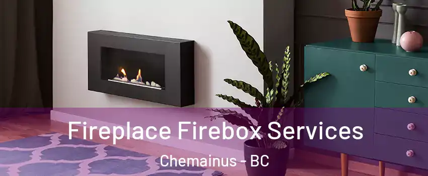  Fireplace Firebox Services Chemainus - BC