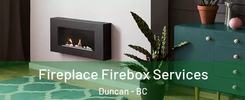  Fireplace Firebox Services Duncan - BC
