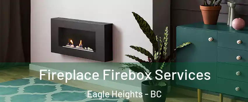  Fireplace Firebox Services Eagle Heights - BC