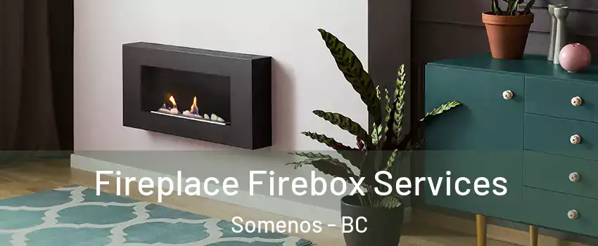  Fireplace Firebox Services Somenos - BC