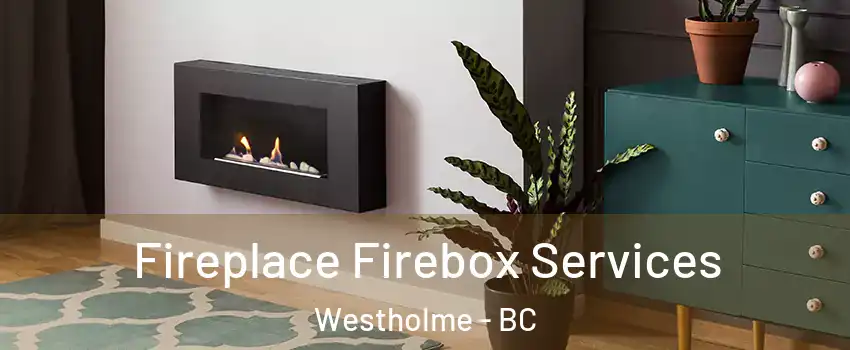 Fireplace Firebox Services Westholme - BC