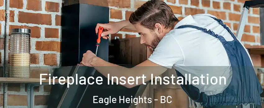  Fireplace Insert Installation Eagle Heights - BC