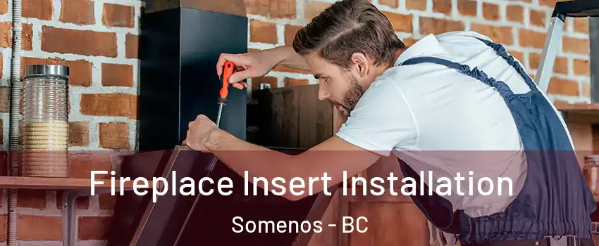  Fireplace Insert Installation Somenos - BC