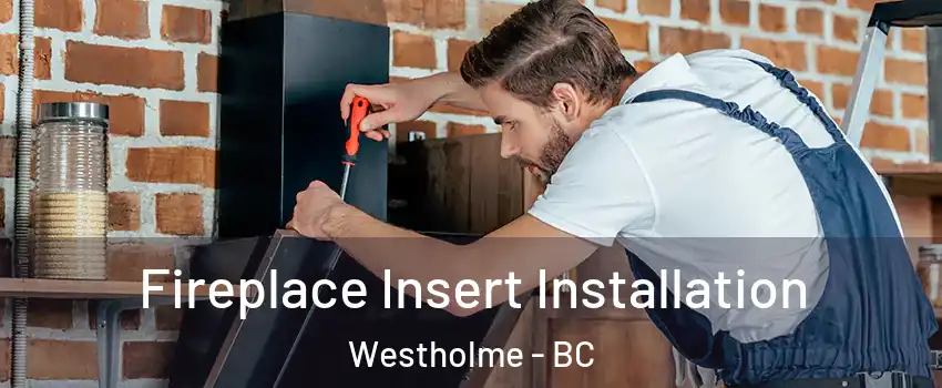  Fireplace Insert Installation Westholme - BC