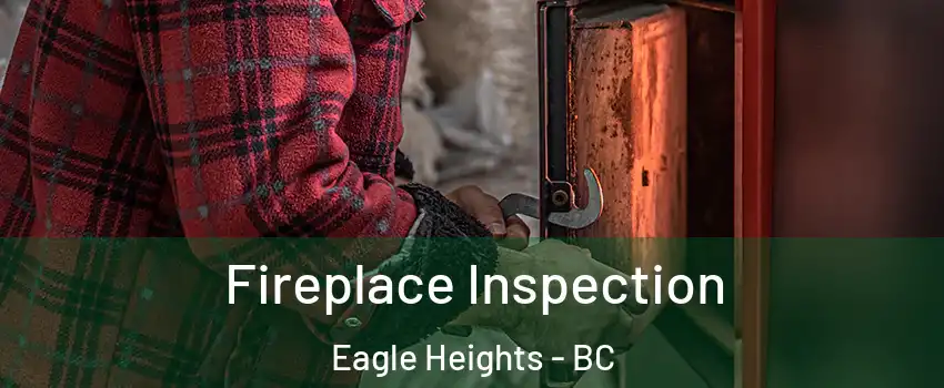  Fireplace Inspection Eagle Heights - BC