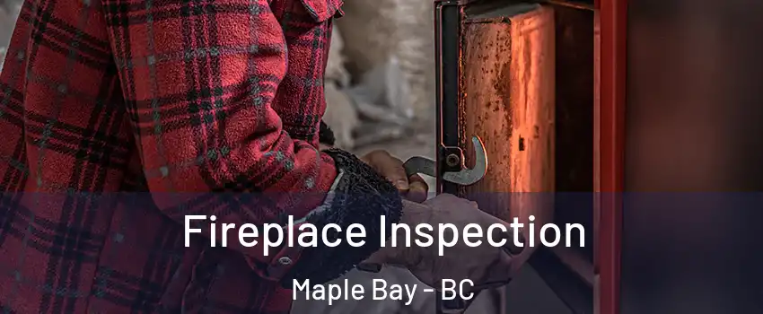  Fireplace Inspection Maple Bay - BC