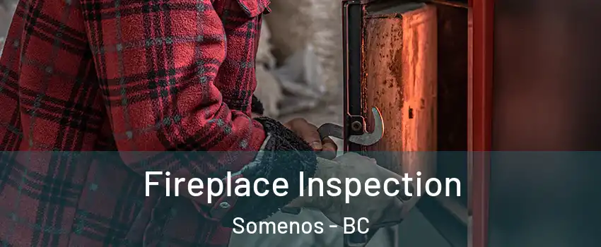  Fireplace Inspection Somenos - BC