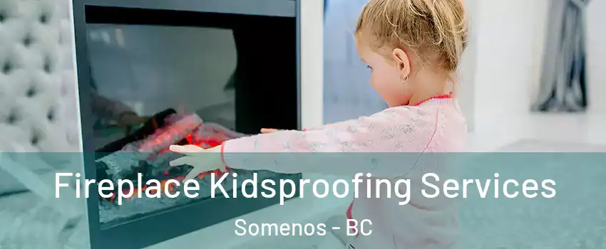  Fireplace Kidsproofing Services Somenos - BC