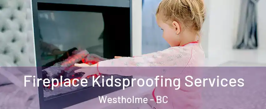  Fireplace Kidsproofing Services Westholme - BC