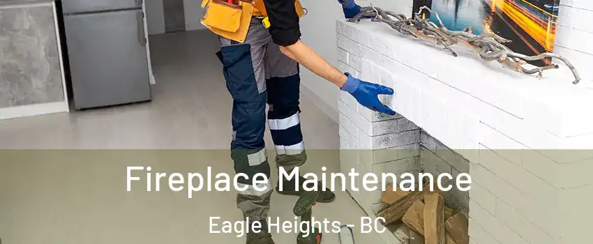  Fireplace Maintenance Eagle Heights - BC