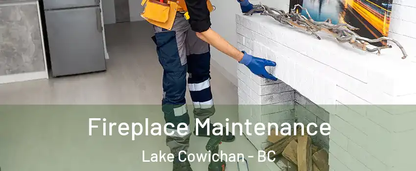  Fireplace Maintenance Lake Cowichan - BC