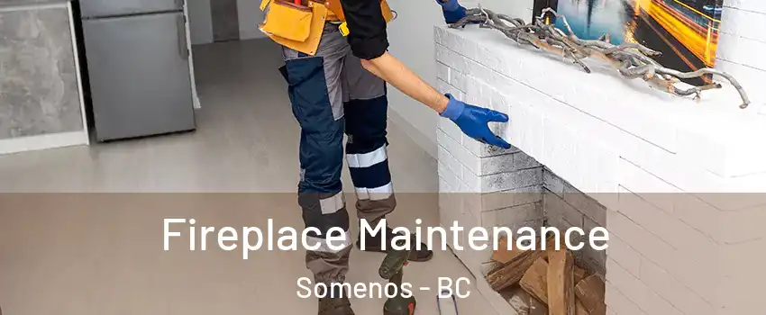  Fireplace Maintenance Somenos - BC