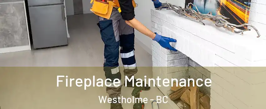  Fireplace Maintenance Westholme - BC