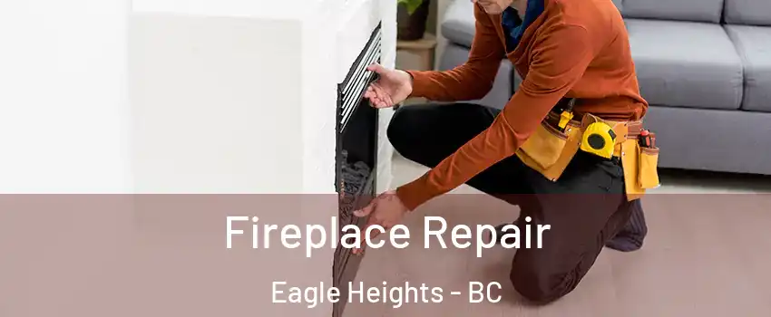  Fireplace Repair Eagle Heights - BC