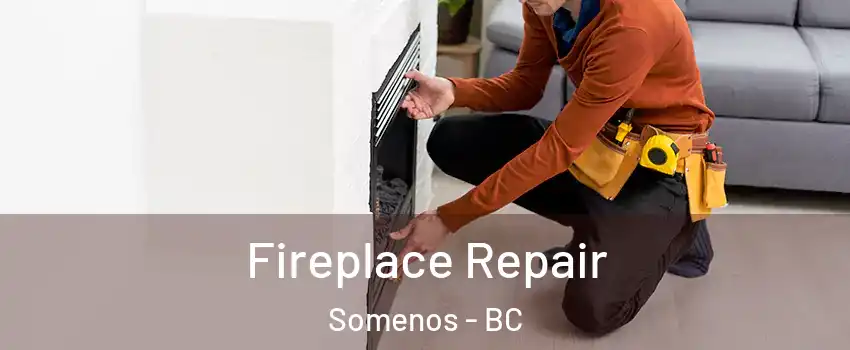  Fireplace Repair Somenos - BC
