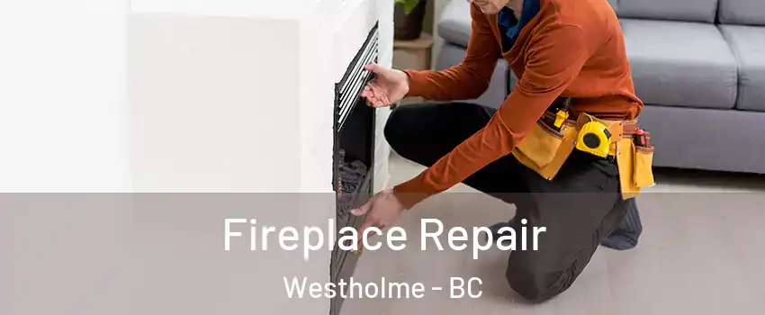  Fireplace Repair Westholme - BC