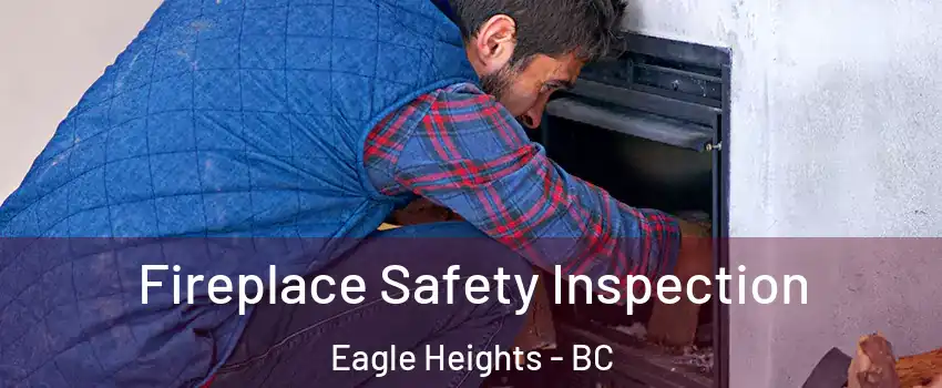 Fireplace Safety Inspection Eagle Heights - BC