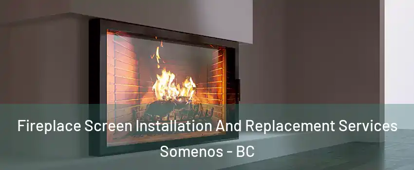 Fireplace Screen Installation And Replacement Services Somenos - BC