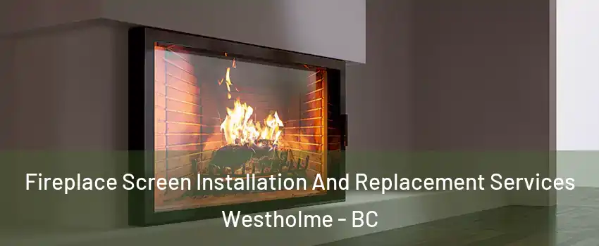 Fireplace Screen Installation And Replacement Services Westholme - BC