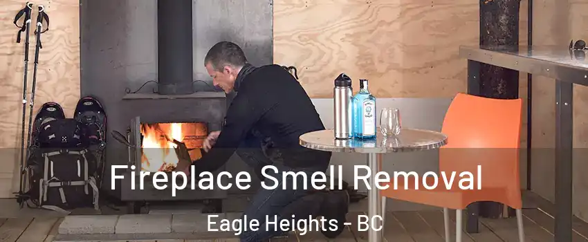 Fireplace Smell Removal Eagle Heights - BC