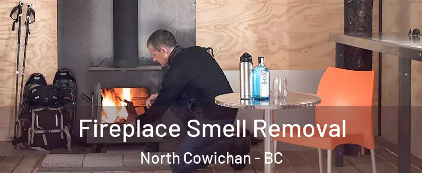  Fireplace Smell Removal North Cowichan - BC