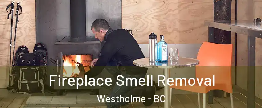  Fireplace Smell Removal Westholme - BC