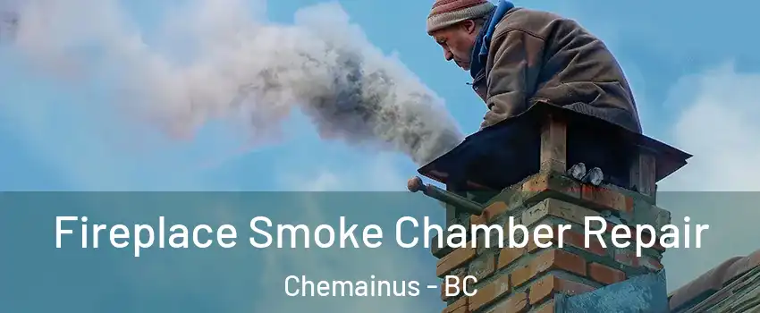  Fireplace Smoke Chamber Repair Chemainus - BC