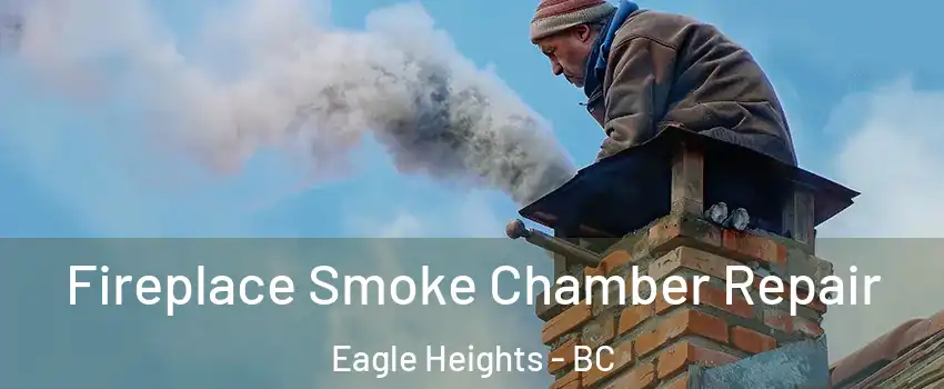  Fireplace Smoke Chamber Repair Eagle Heights - BC