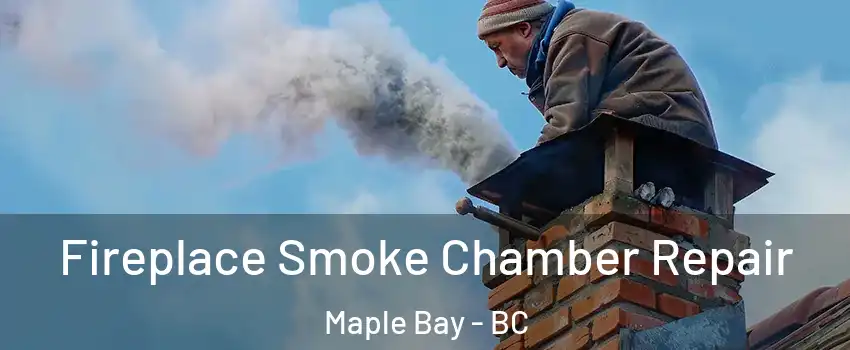  Fireplace Smoke Chamber Repair Maple Bay - BC