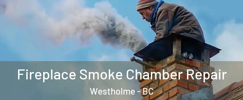  Fireplace Smoke Chamber Repair Westholme - BC