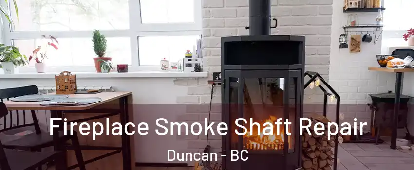  Fireplace Smoke Shaft Repair Duncan - BC