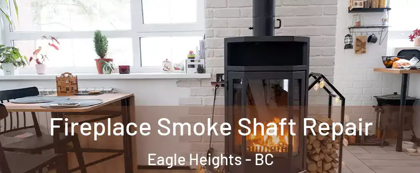  Fireplace Smoke Shaft Repair Eagle Heights - BC