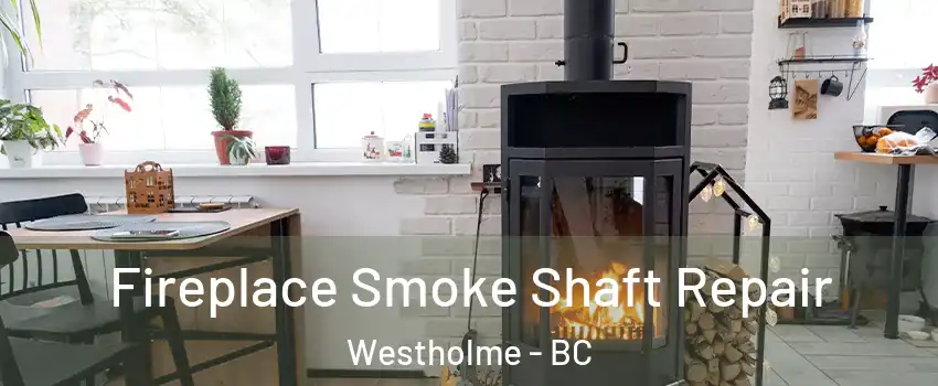  Fireplace Smoke Shaft Repair Westholme - BC